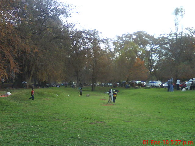 El sabinal Ags-5