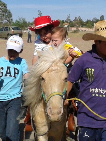 ponies de AGS. YARETZI 16