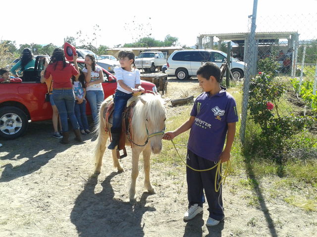ponies de AGS. YARETZI 2
