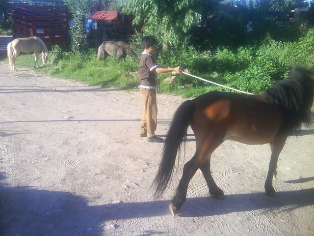 07 Ponies de Aguascalientes