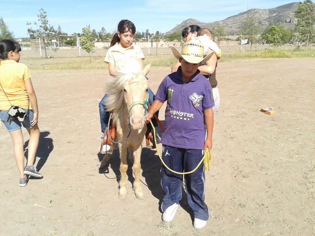 ponies de AGS. YARETZI 14