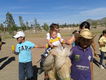 ponies de AGS. YARETZI 12
