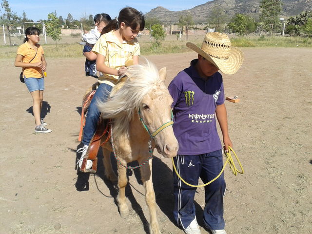 ponies de AGS. YARETZI 18