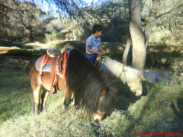 03 Ponies de Aguascalientes